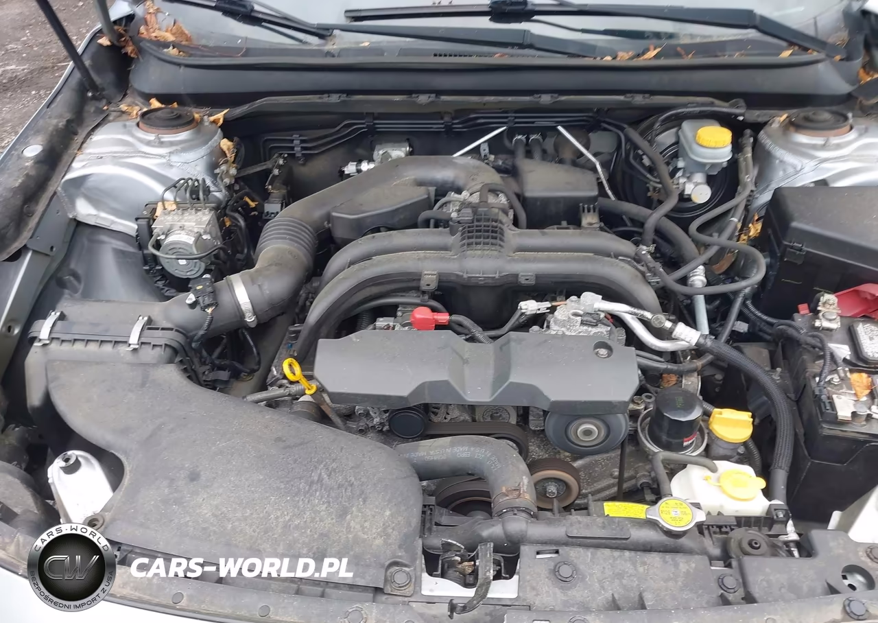 2015 Subaru Outback 2.5I VIN:4S4BSAAC5F3228824 - 10
