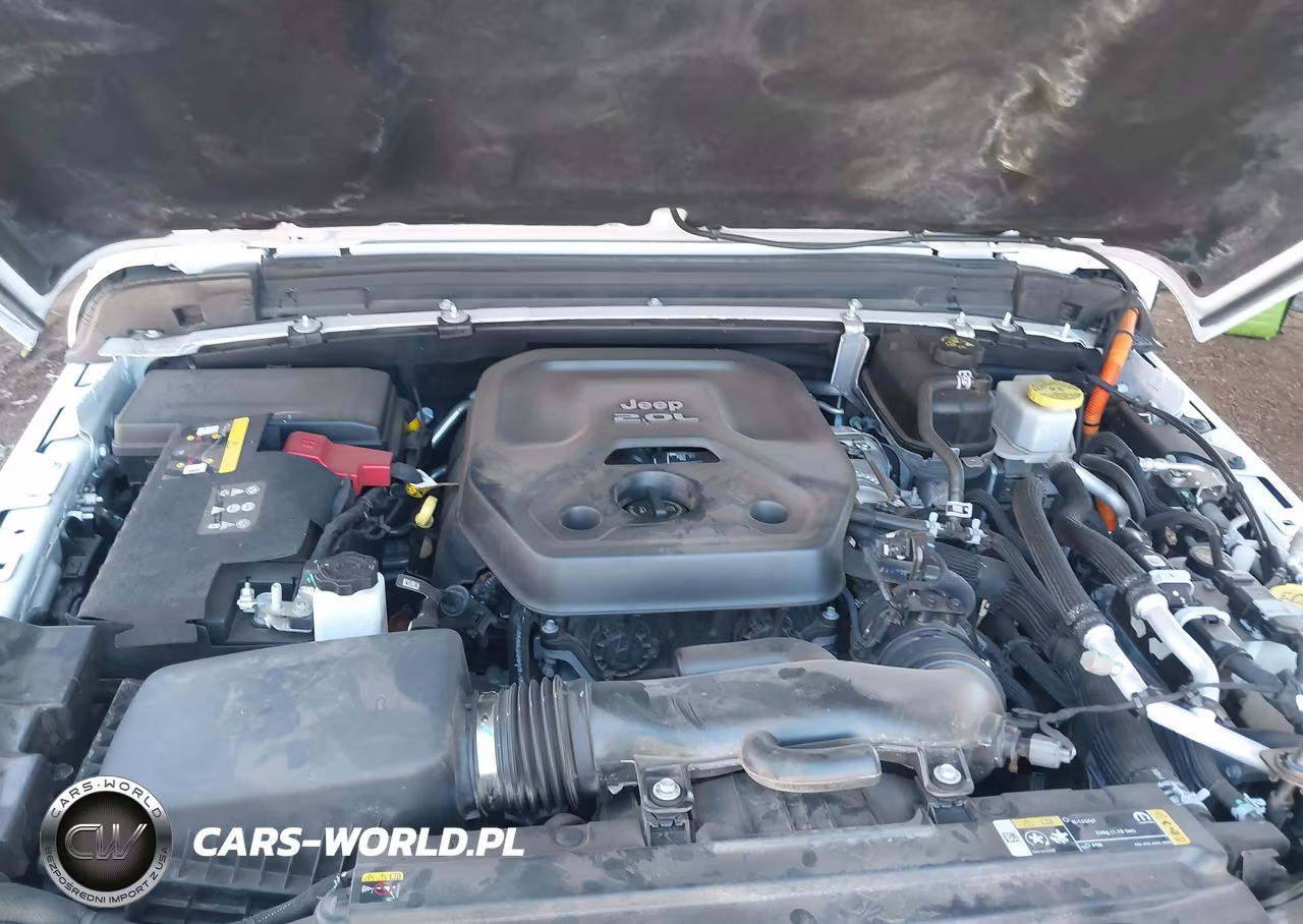 2023 Jeep Wrangler 4Xe Rubicon 4X4 VIN:1C4JJXR63PW586394 - 10
