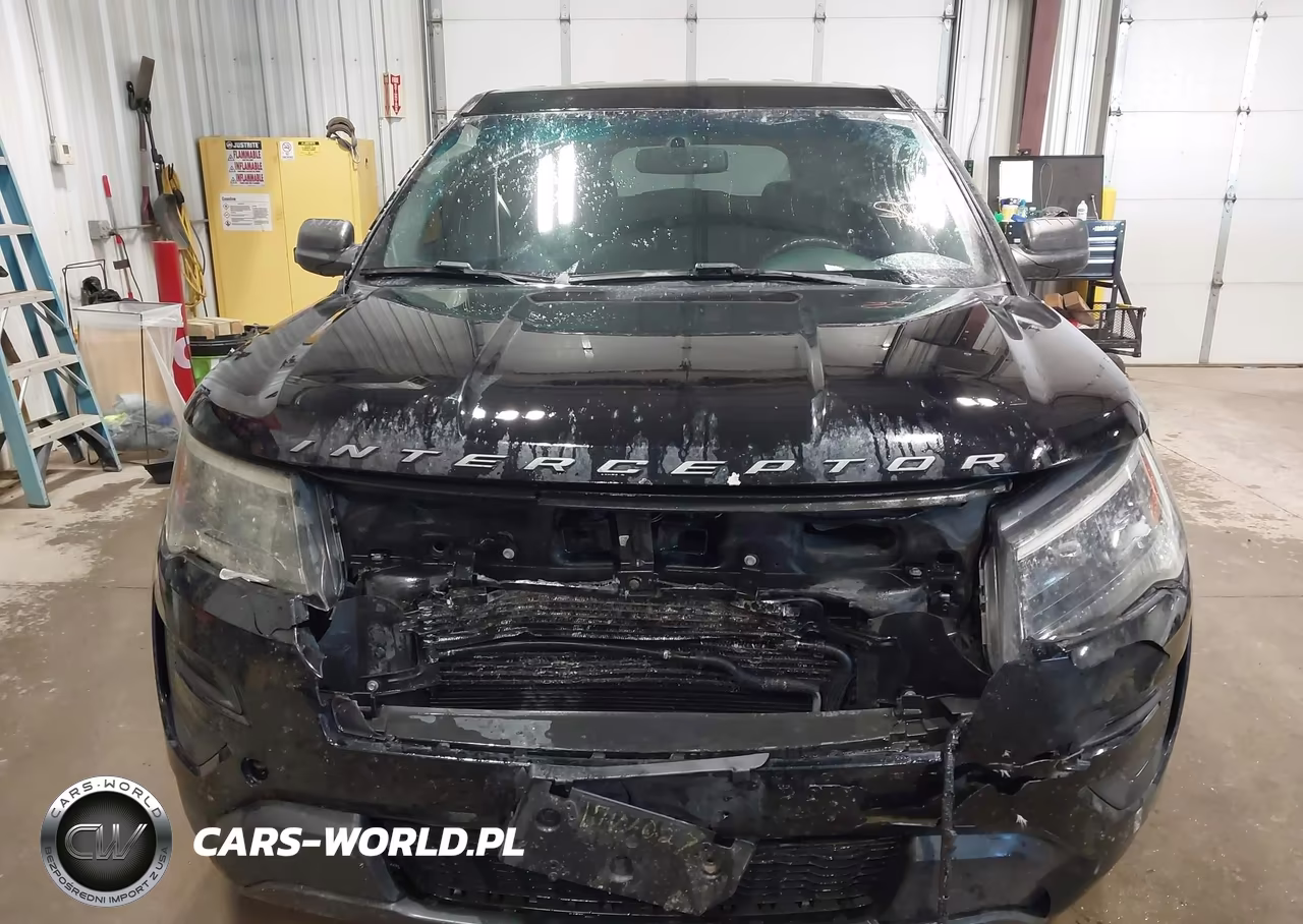 2017 Ford Utility Police Interceptor VIN:1FM5K8AT9HGA63622 - 12