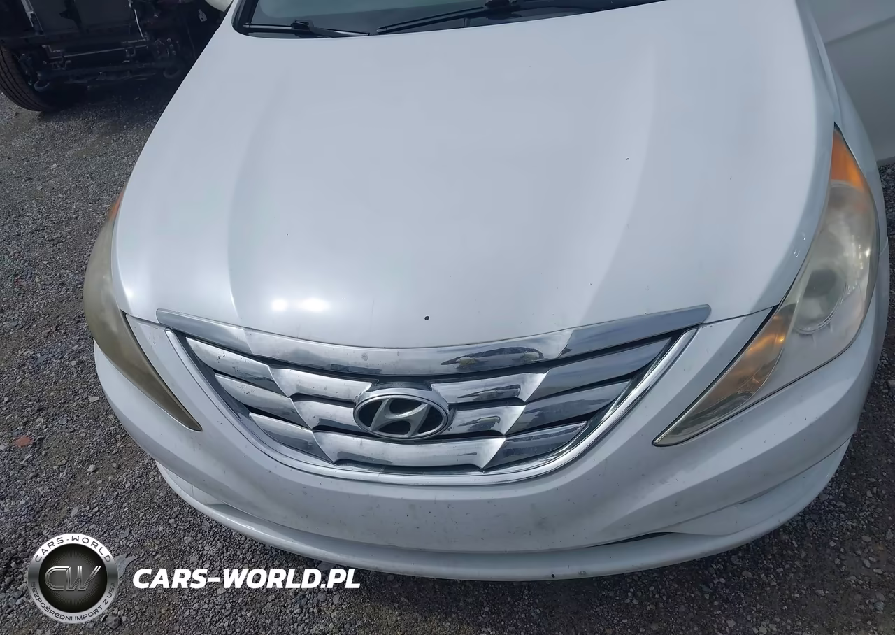 2013 Hyundai Sonata Gls VIN:5NPEB4AC8DH743885 - 10