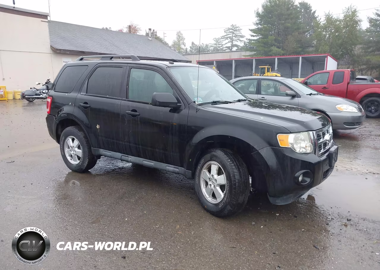 2011 Ford Escape Xlt