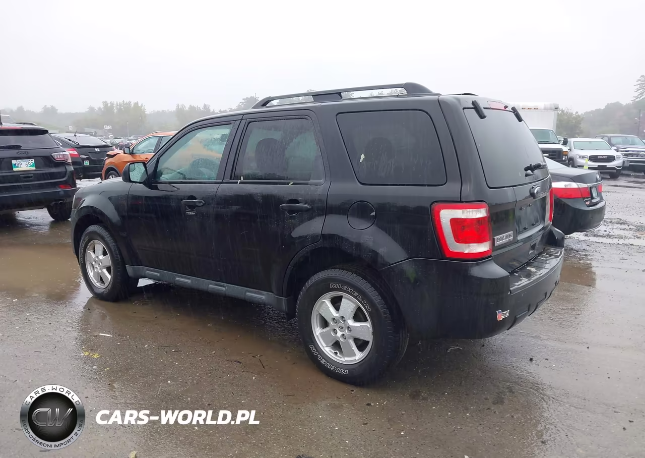 2011 Ford Escape Xlt VIN:1FMCU9D78BKB17874 - 3