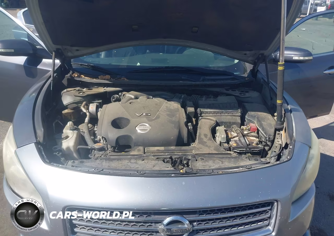 2010 Nissan Maxima 3.5 Sv VIN:1N4AA5AP8AC809133 - 10