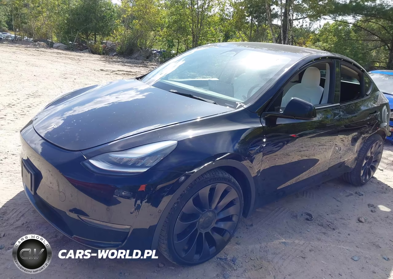 2021 Tesla Model Y Performance Dual Motor All-Wheel Drive VIN:5YJYGDEF6MF098252 - 2