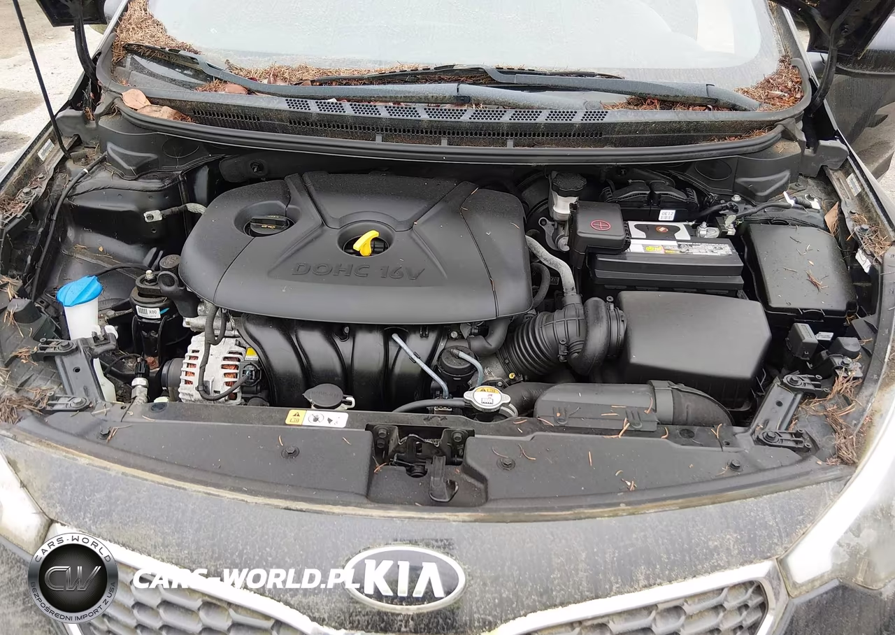 2015 Kia Forte Lx VIN:KNAFK4A69F5310574 - 10