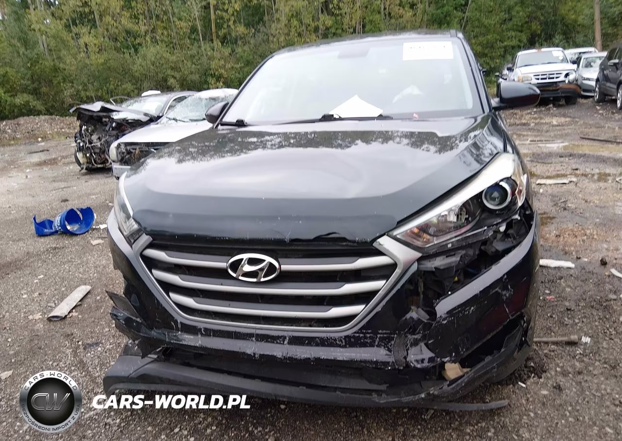 2017 Hyundai Tucson Se VIN:KM8J23A41HU386638 - 12