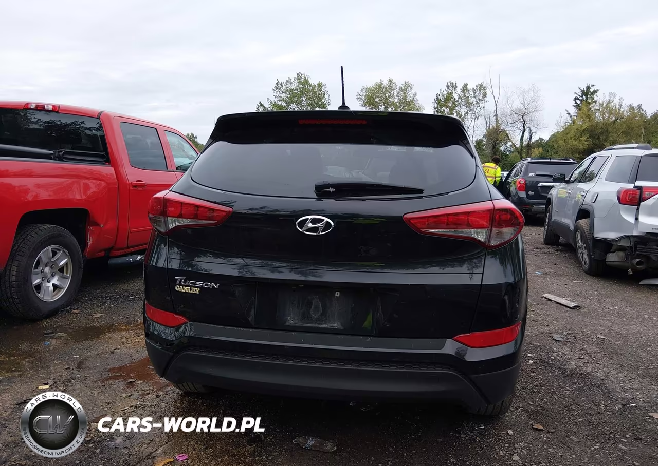 2017 Hyundai Tucson Se VIN:KM8J23A41HU386638 - 16