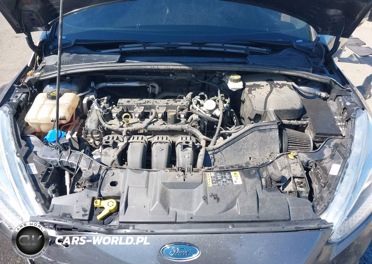2017 Ford Focus Se VIN:1FADP3F23HL300090 - 10