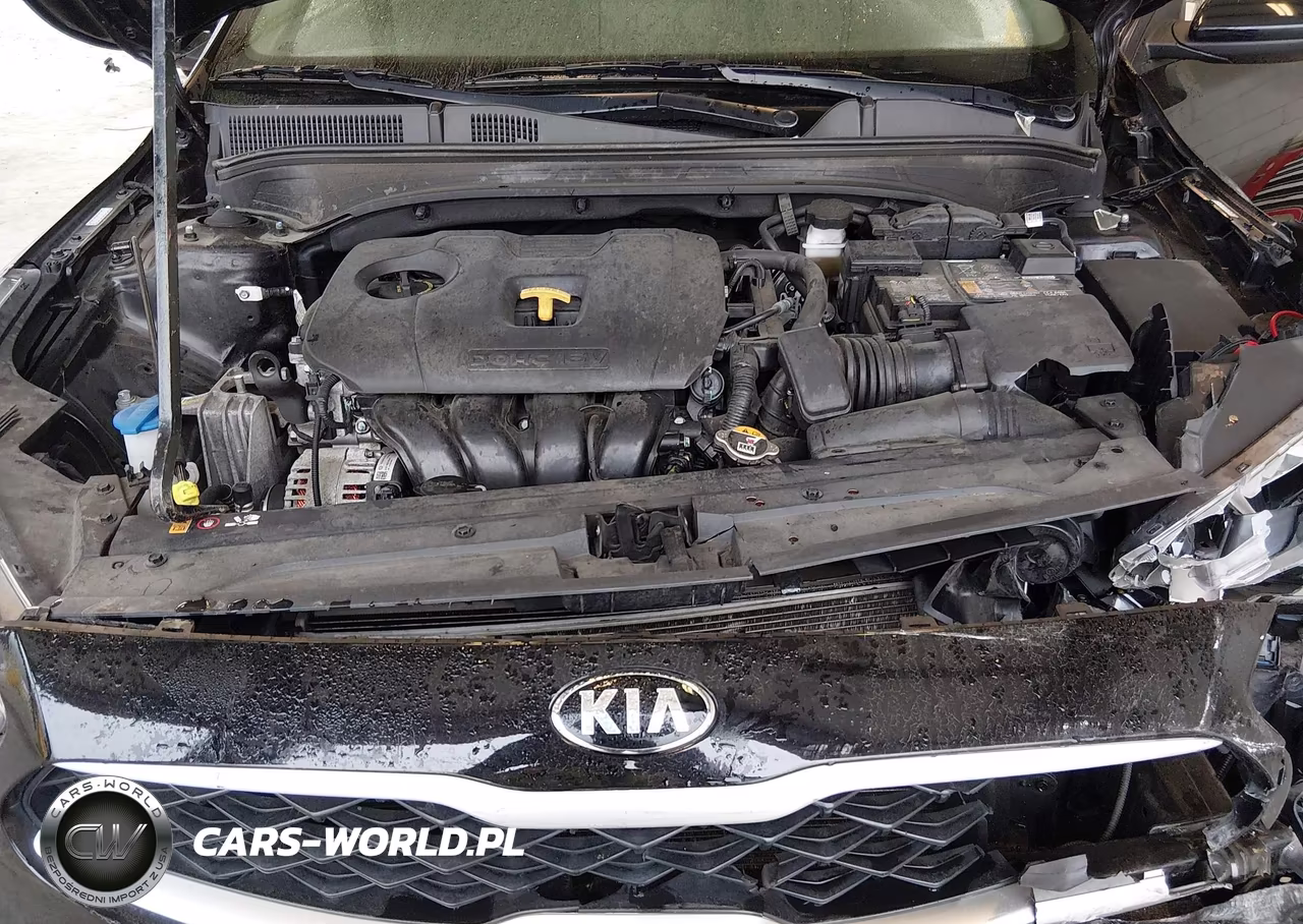 2021 Kia Forte Fe VIN:3KPF24AD7ME370713 - 10