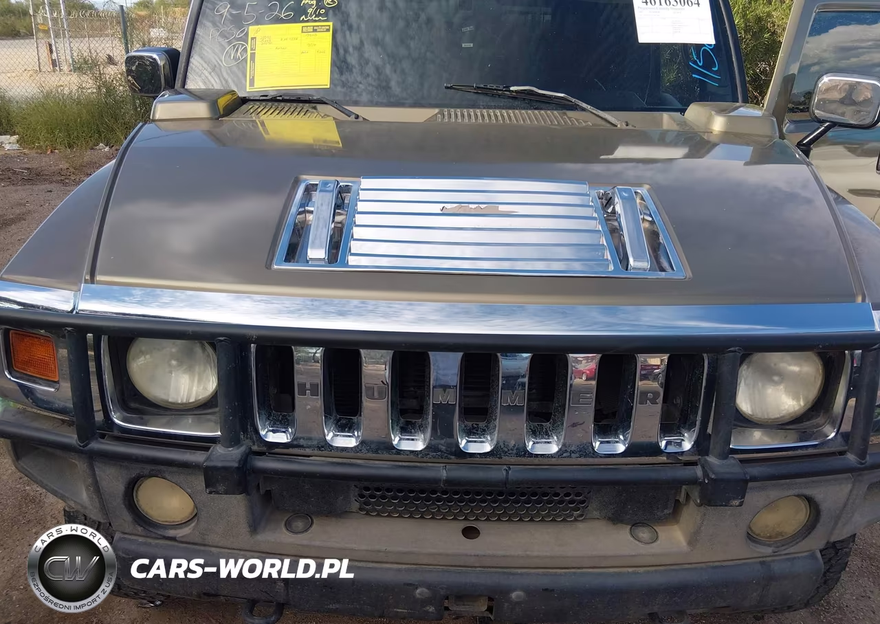 2005 Hummer H2 Sut VIN:5GRGN22U25H115007 - 10