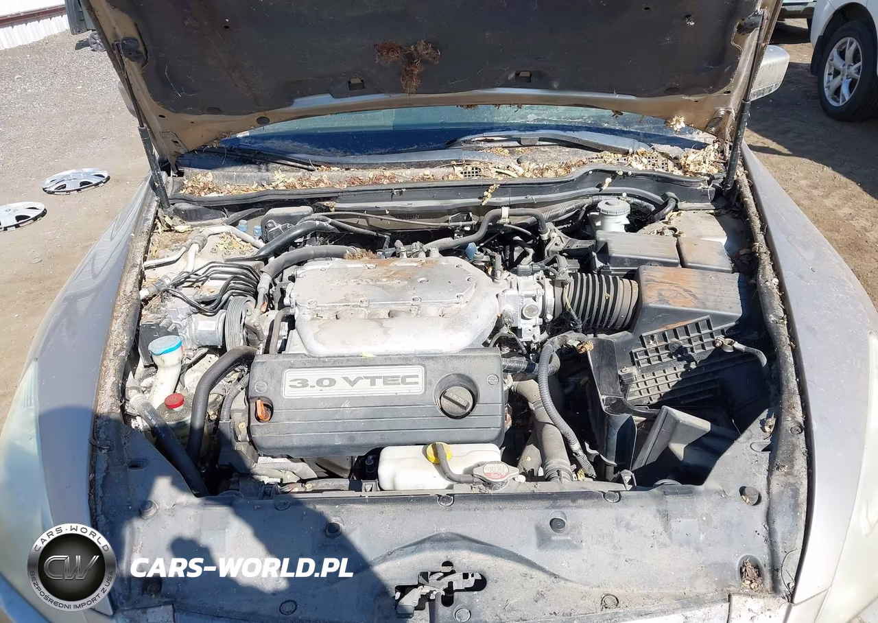 2003 Honda Accord 3.0 Ex VIN:1HGCM66563A041482 - 10