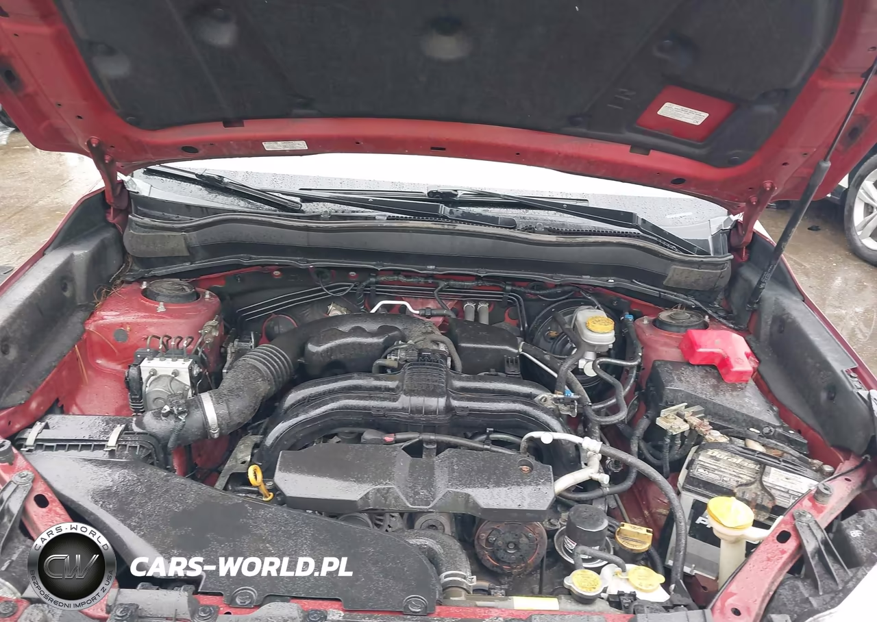 2016 Subaru Forester 2.5I VIN:JF2SJABC6GH558676 - 10