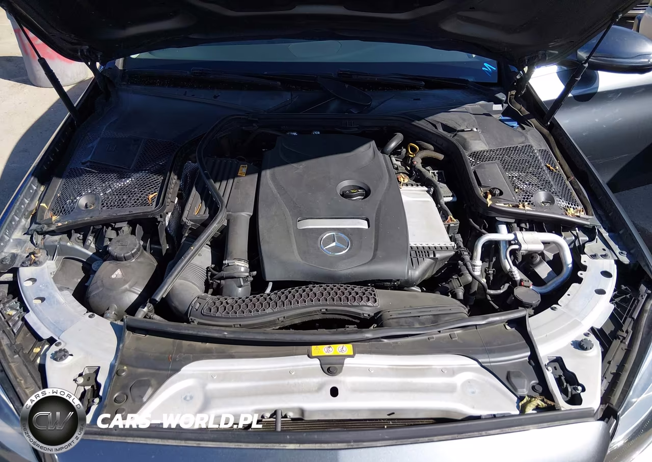2017 Mercedes-Benz C 300 VIN:55SWF4JB6HU219380 - 10