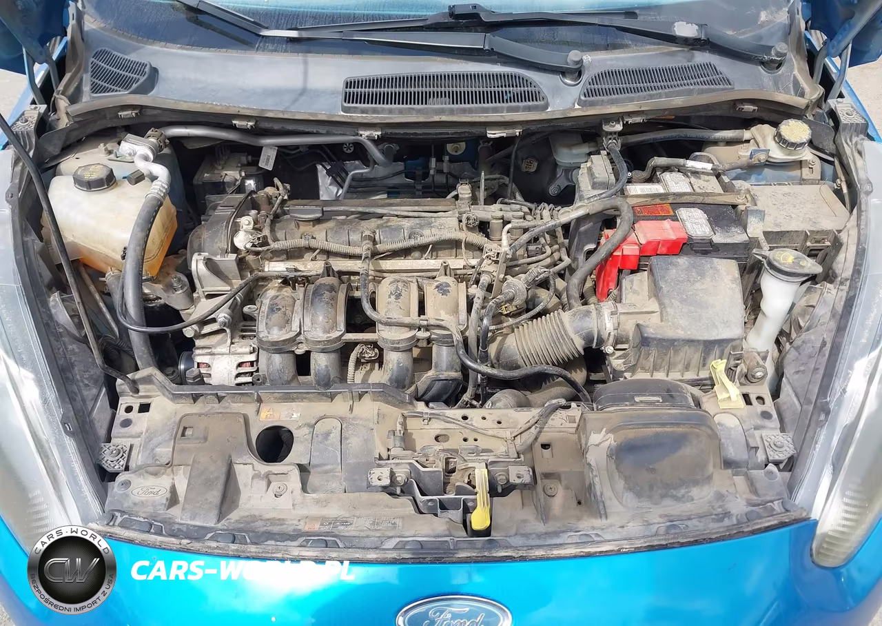 2015 Ford Fiesta Se VIN:3FADP4BJ4FM167290 - 10