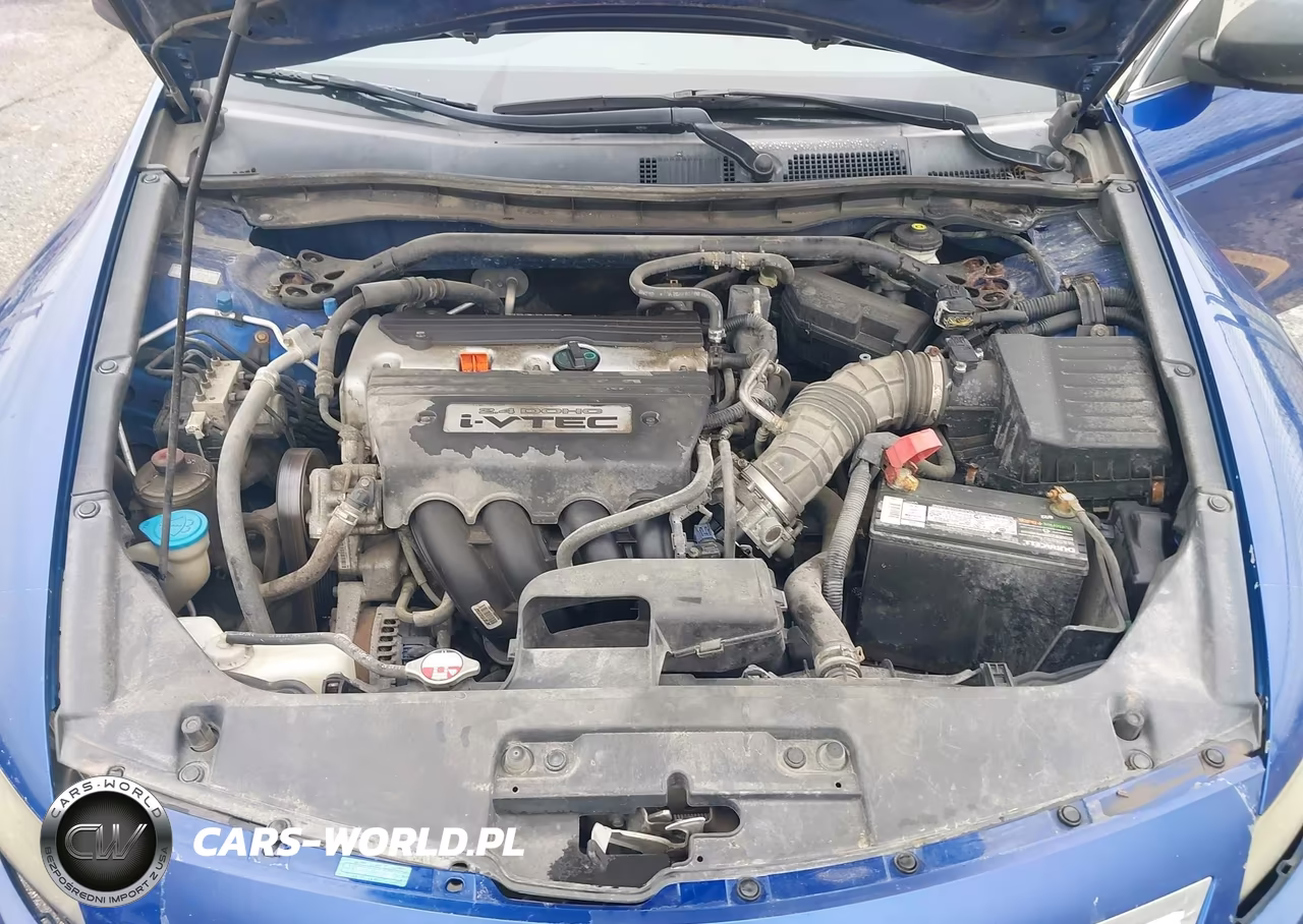 2010 Honda Accord Cpe VIN:1HGCS1B89AA007560 - 10
