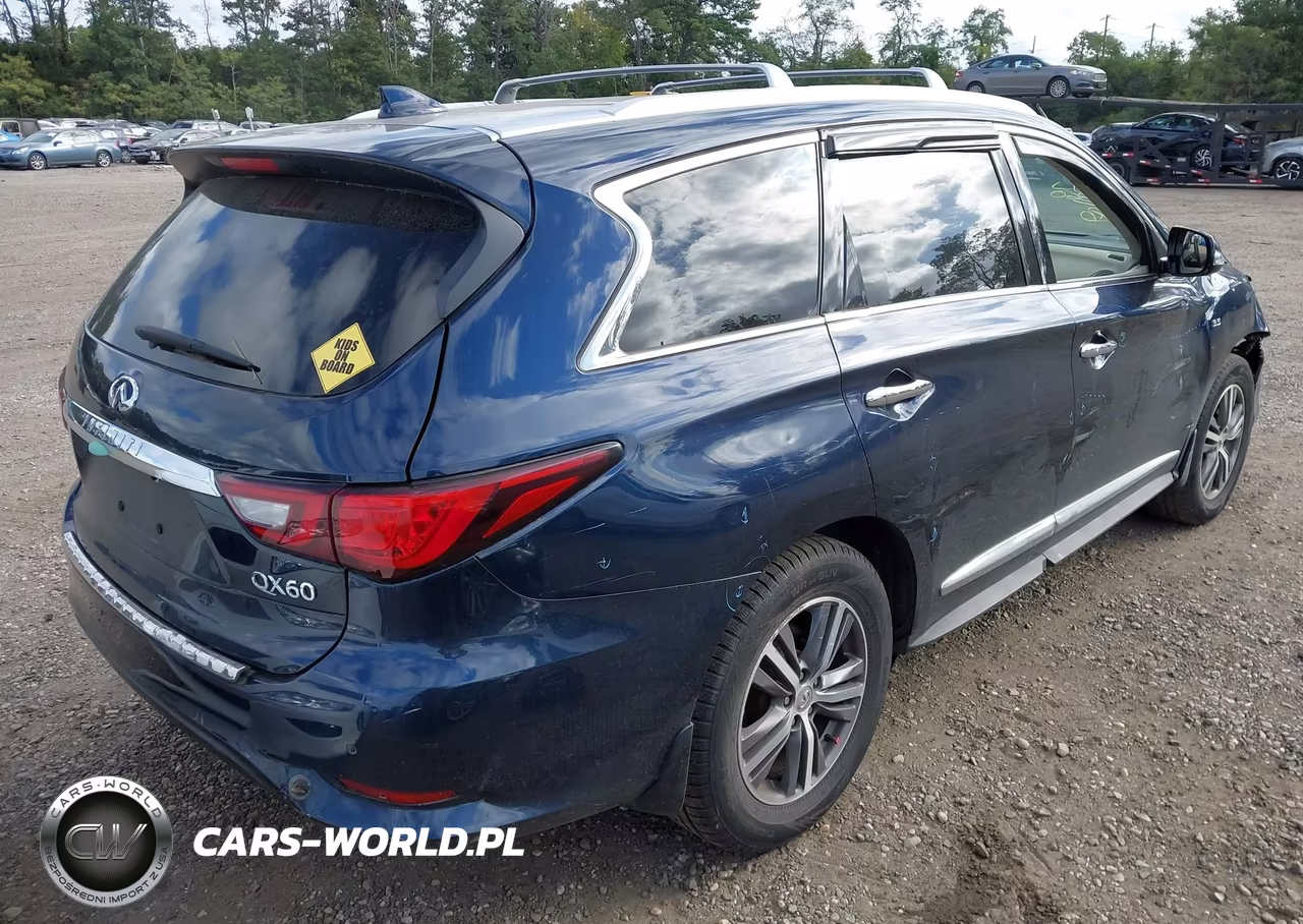 2020 Infiniti Qx60 Luxe Awd VIN:5N1DL0MM5LC535328 - 4