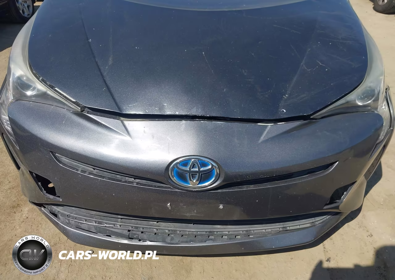 2016 Toyota Prius Two VIN:JTDKBRFUXG3016572 - 18