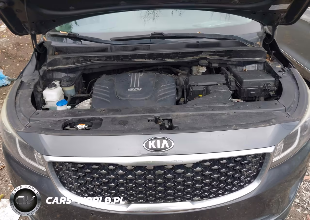 2017 Kia Sedona Lx VIN:KNDMB5C13H6334495 - 10