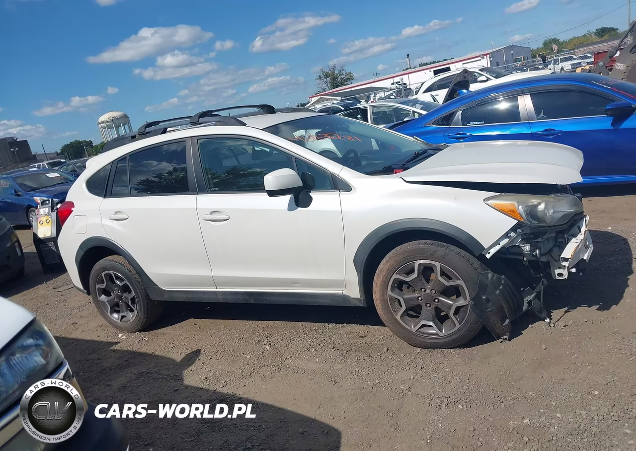 2014 Subaru Xv Crosstrek 2.0I Premium VIN:JF2GPACC4E8344494 - 13