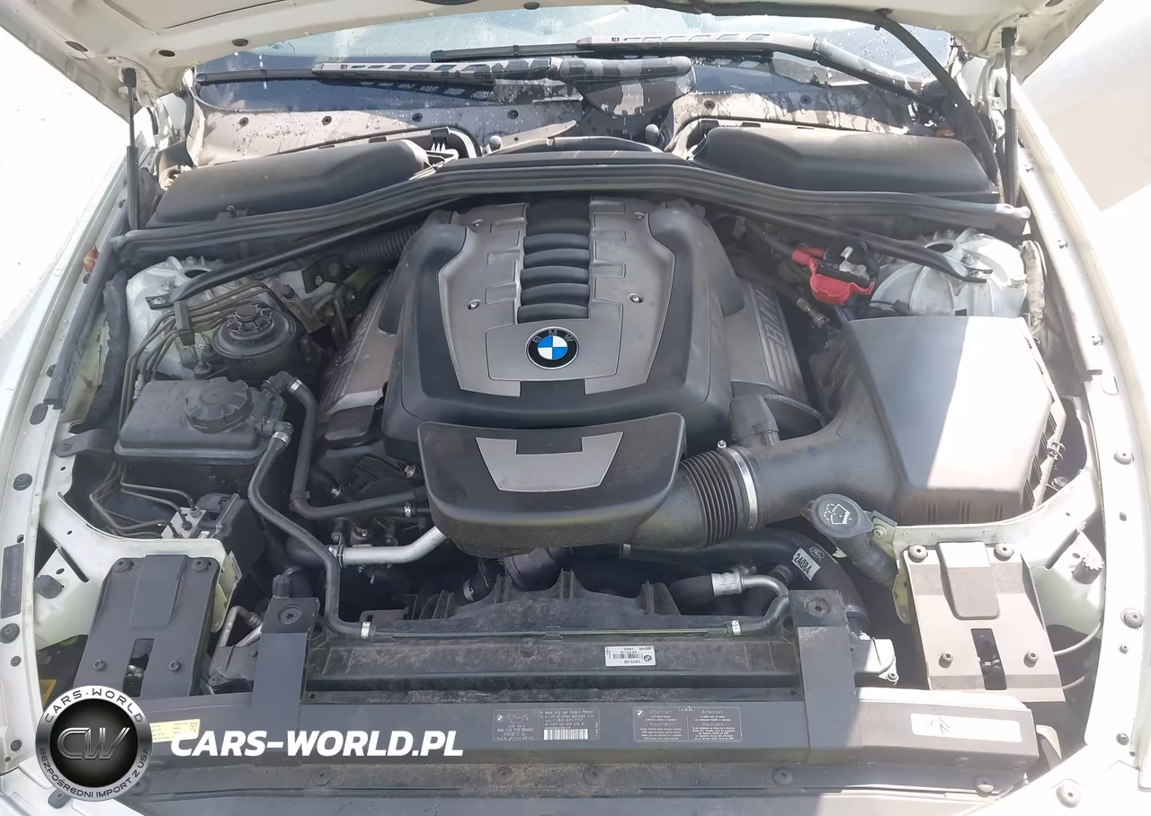 2006 BMW 650I VIN:WBAEK13436CN75105 - 10