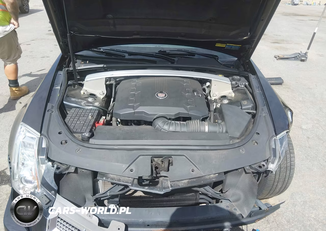 2010 Cadillac Cts Premium VIN:1G6DS8EV2A0114780 - 10