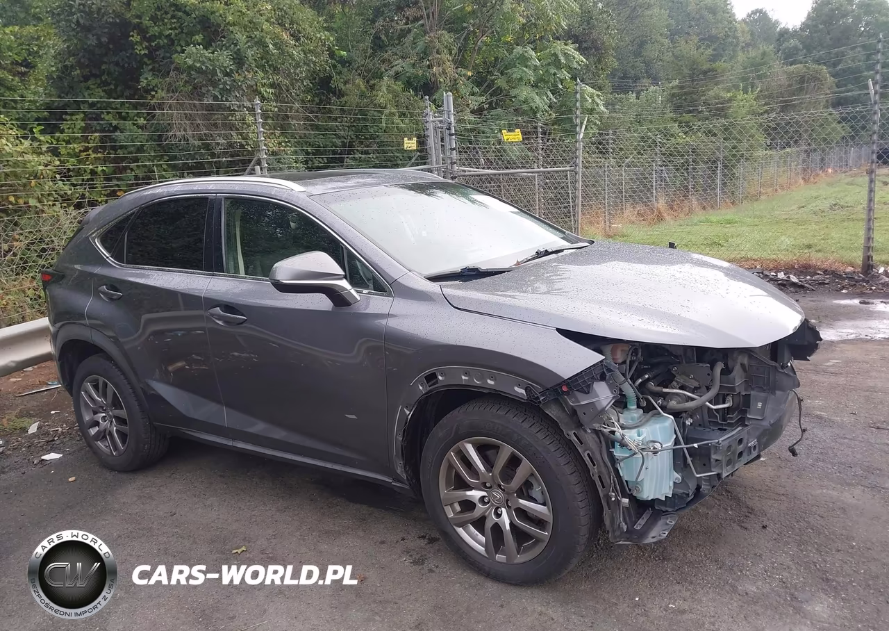 2015 Lexus Nx 200T VIN:JTJYARBZ1F2003287 - 14