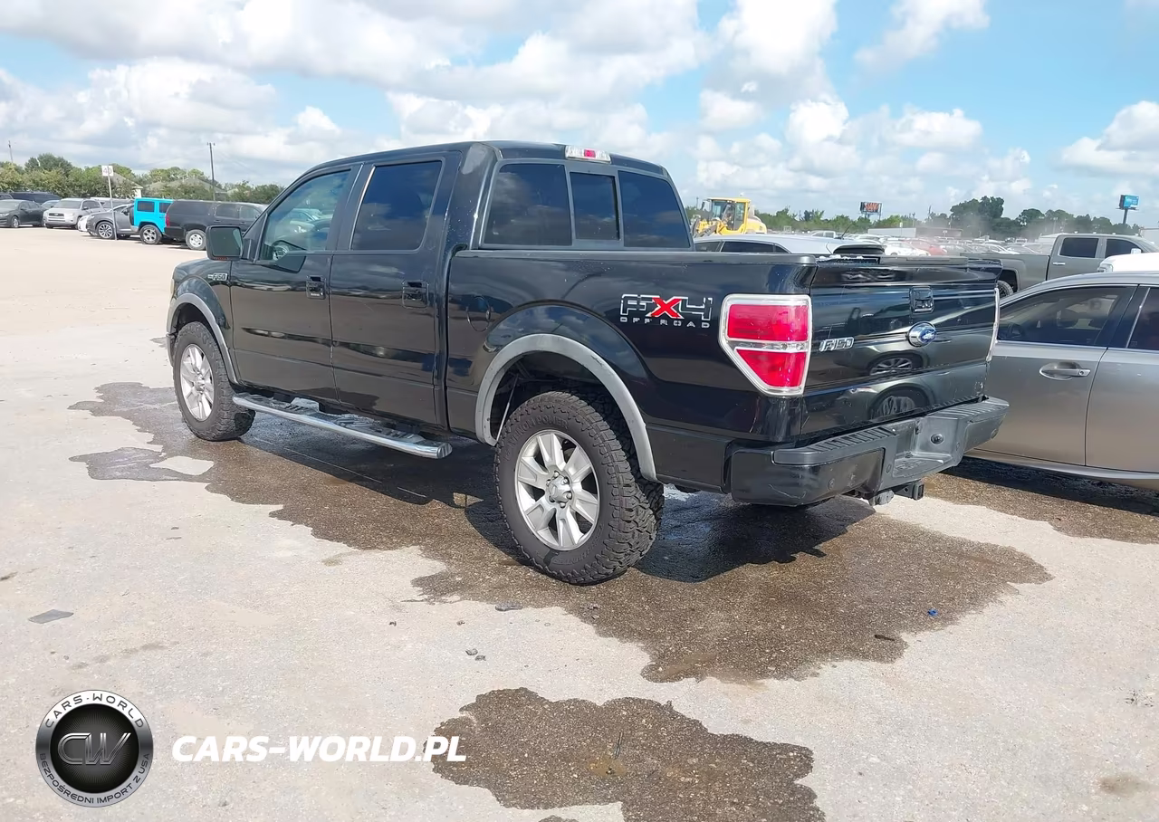2010 Ford F-150 Fx4-Harley-Davidson-King Ranch-Lariat-Platinum-Xl-Xlt VIN:1FTFW1EV7AFD54521 - 3