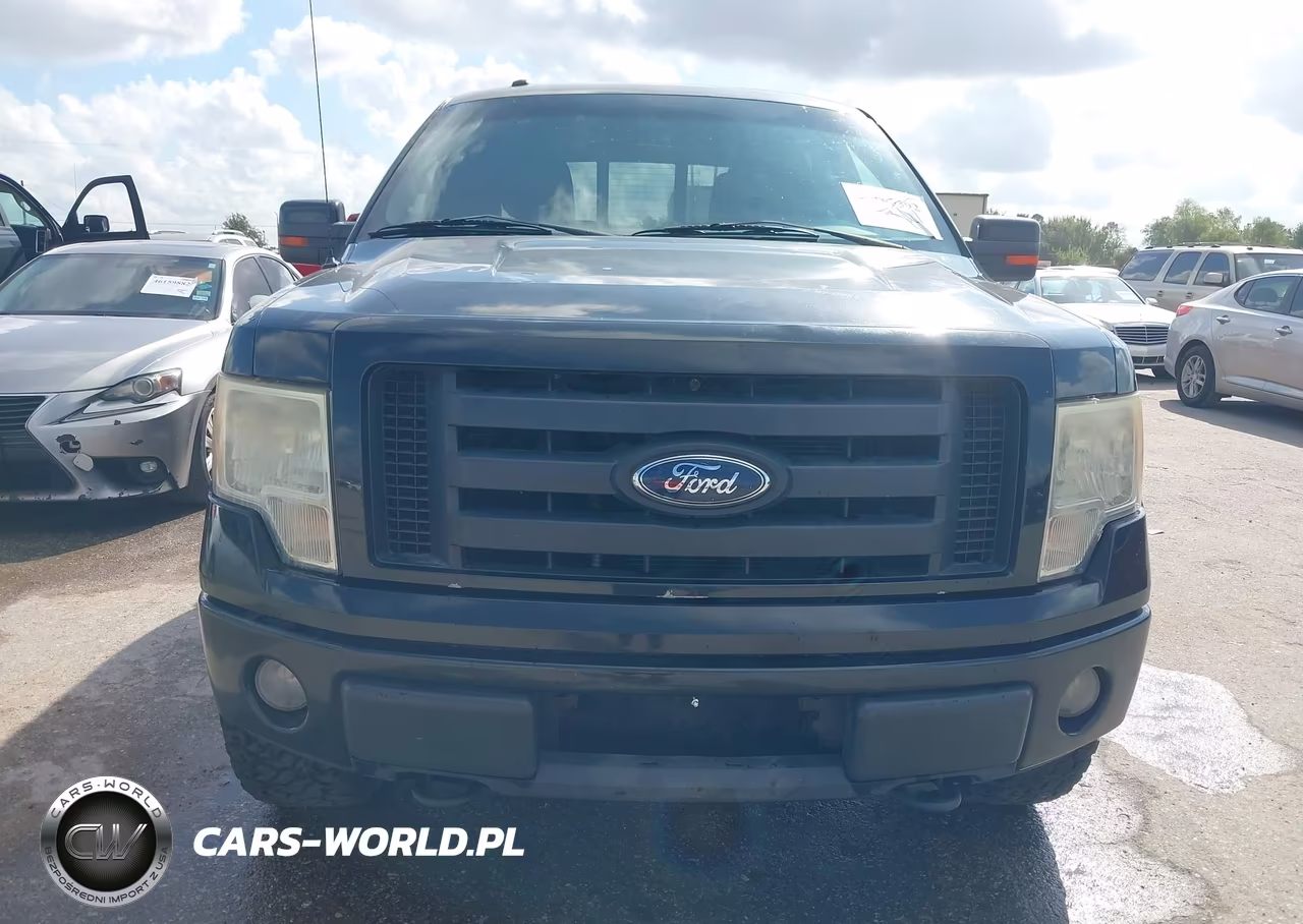 2010 Ford F-150 Fx4-Harley-Davidson-King Ranch-Lariat-Platinum-Xl-Xlt VIN:1FTFW1EV7AFD54521 - 6