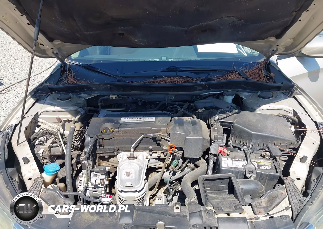 2013 Honda Accord Lx VIN:1HGCR2F32DA264161 - 10
