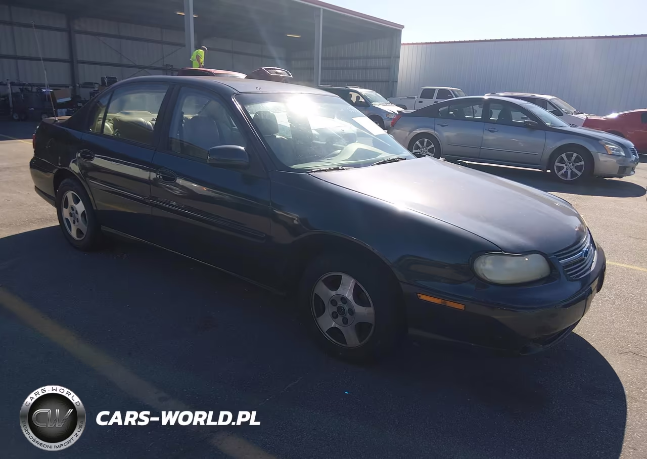 2003 Chevrolet Malibu Ls VIN:1G1NE52J03M663584 - 1