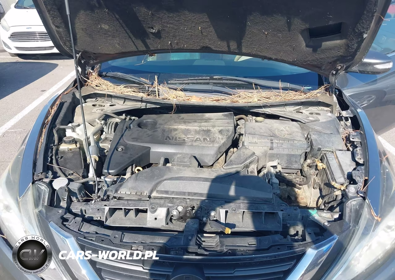 2016 Nissan Altima 2.5 Sl VIN:1N4AL3AP1GC271673 - 10
