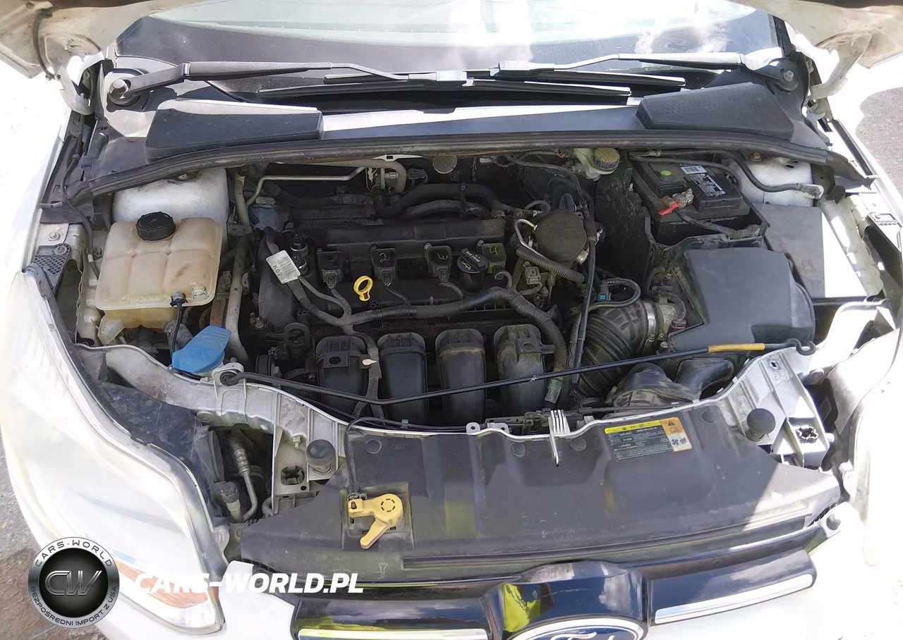 2012 Ford Focus Sel VIN:1FAHP3H21CL177008 - 10