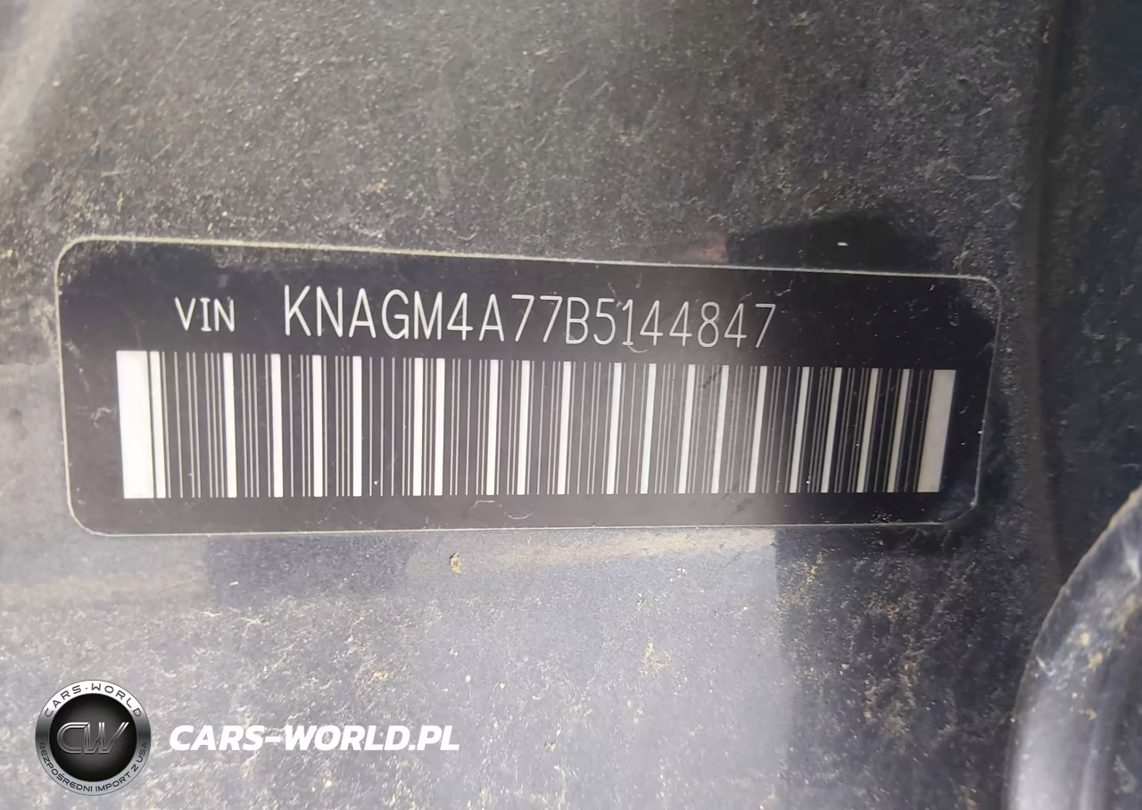 2011 Kia Optima Lx VIN:KNAGM4A77B5144847 - 9