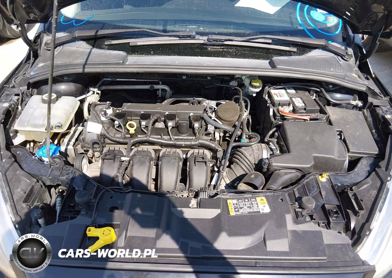 2016 Ford Focus Se VIN:1FADP3K28GL240926 - 10