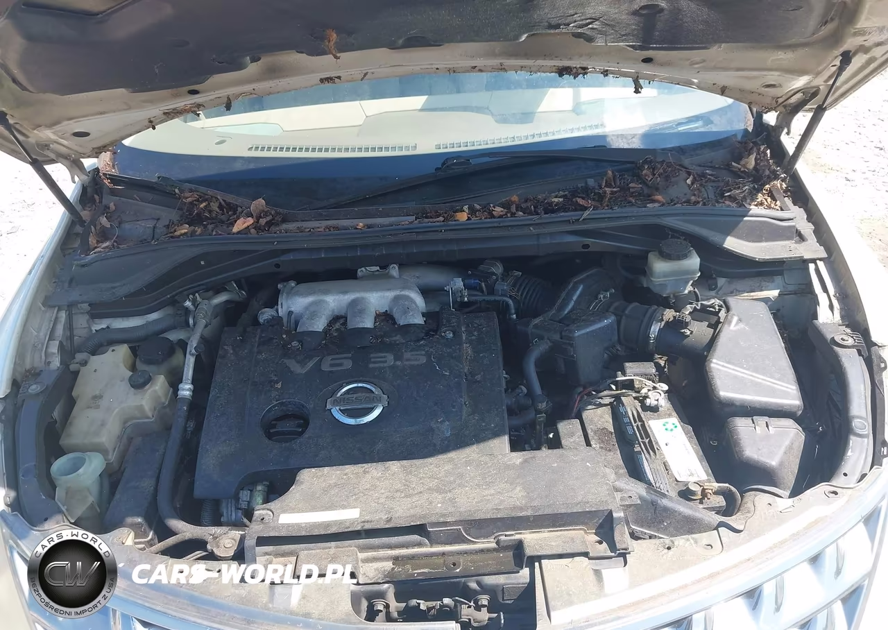 2006 Nissan Murano S VIN:JN8AZ08T56W419979 - 10