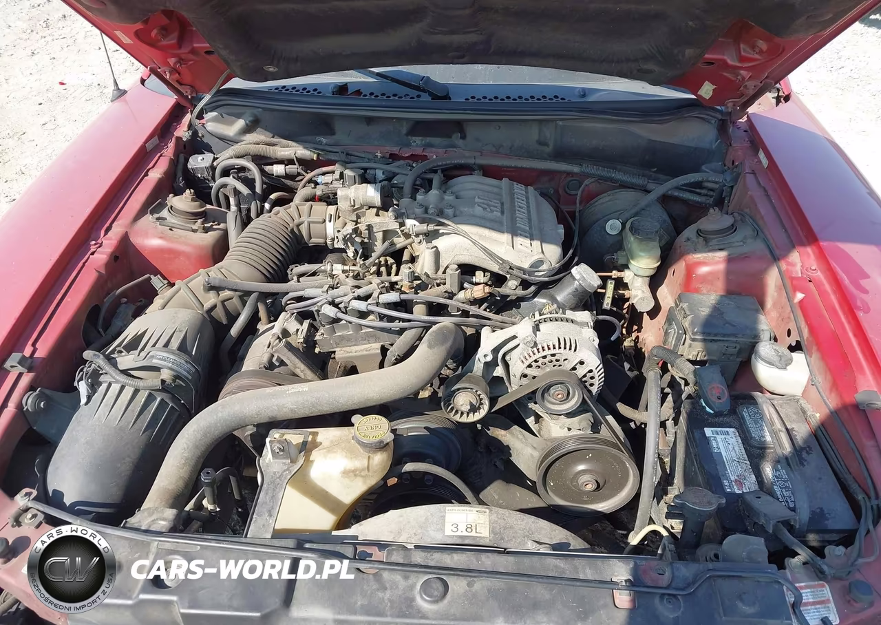 1998 Ford Mustang VIN:1FAFP4448WF123342 - 10
