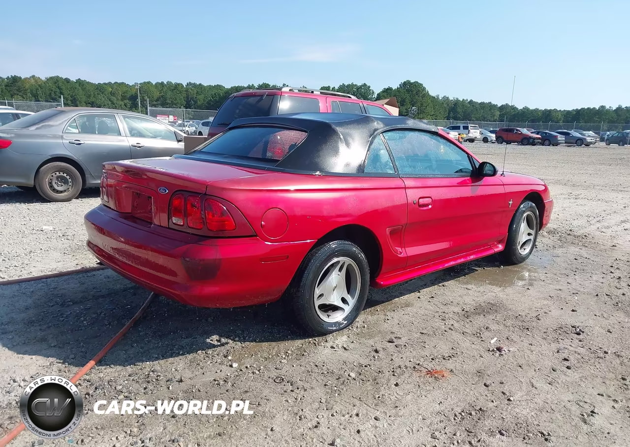 1998 Ford Mustang VIN:1FAFP4448WF123342 - 4