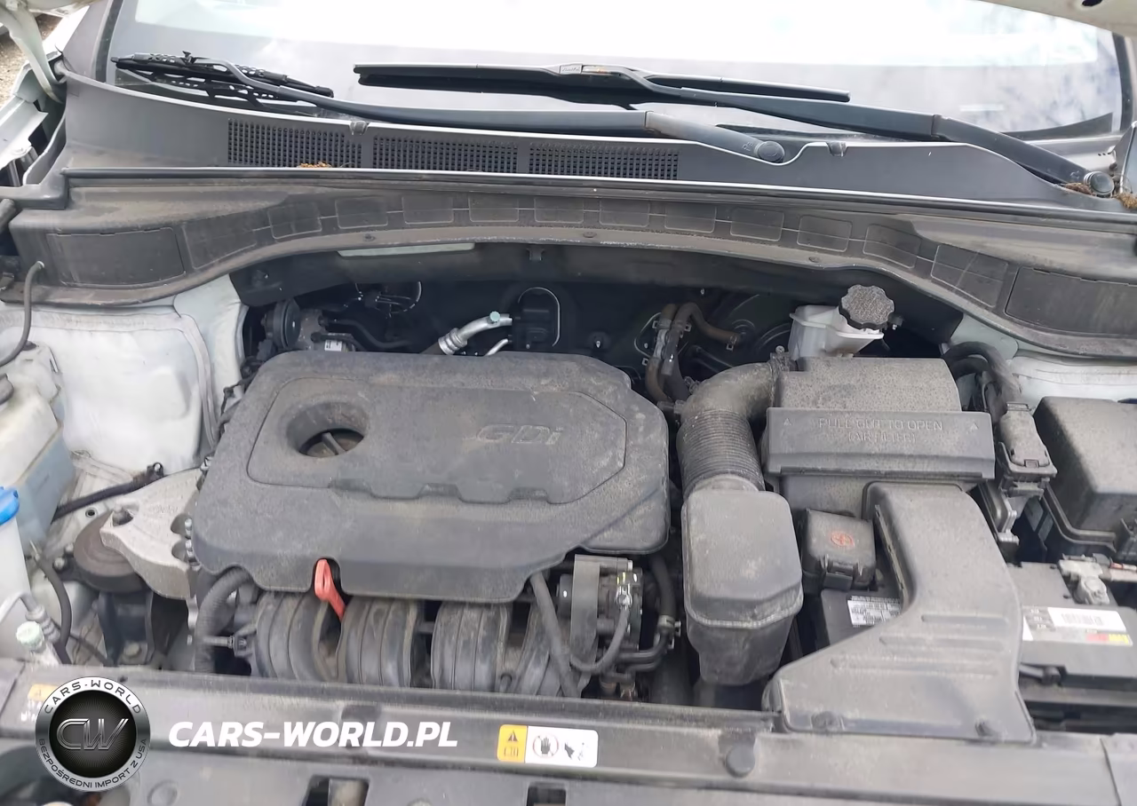 2017 Hyundai Santa Fe Sport 2.4L VIN:5NMZUDLB8HH046901 - 10