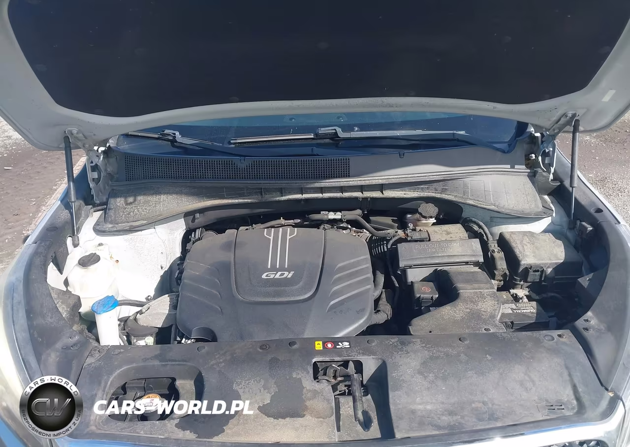 2016 Kia Sorento 3.3L Lx VIN:5XYPGDA50GG160170 - 10