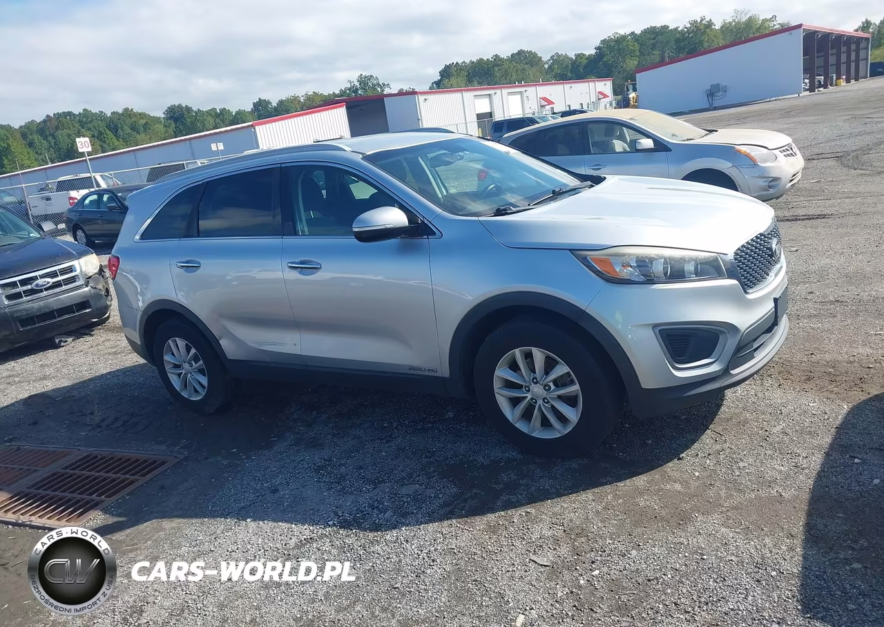 2016 Kia Sorento 3.3L Lx VIN:5XYPGDA50GG160170 - 13