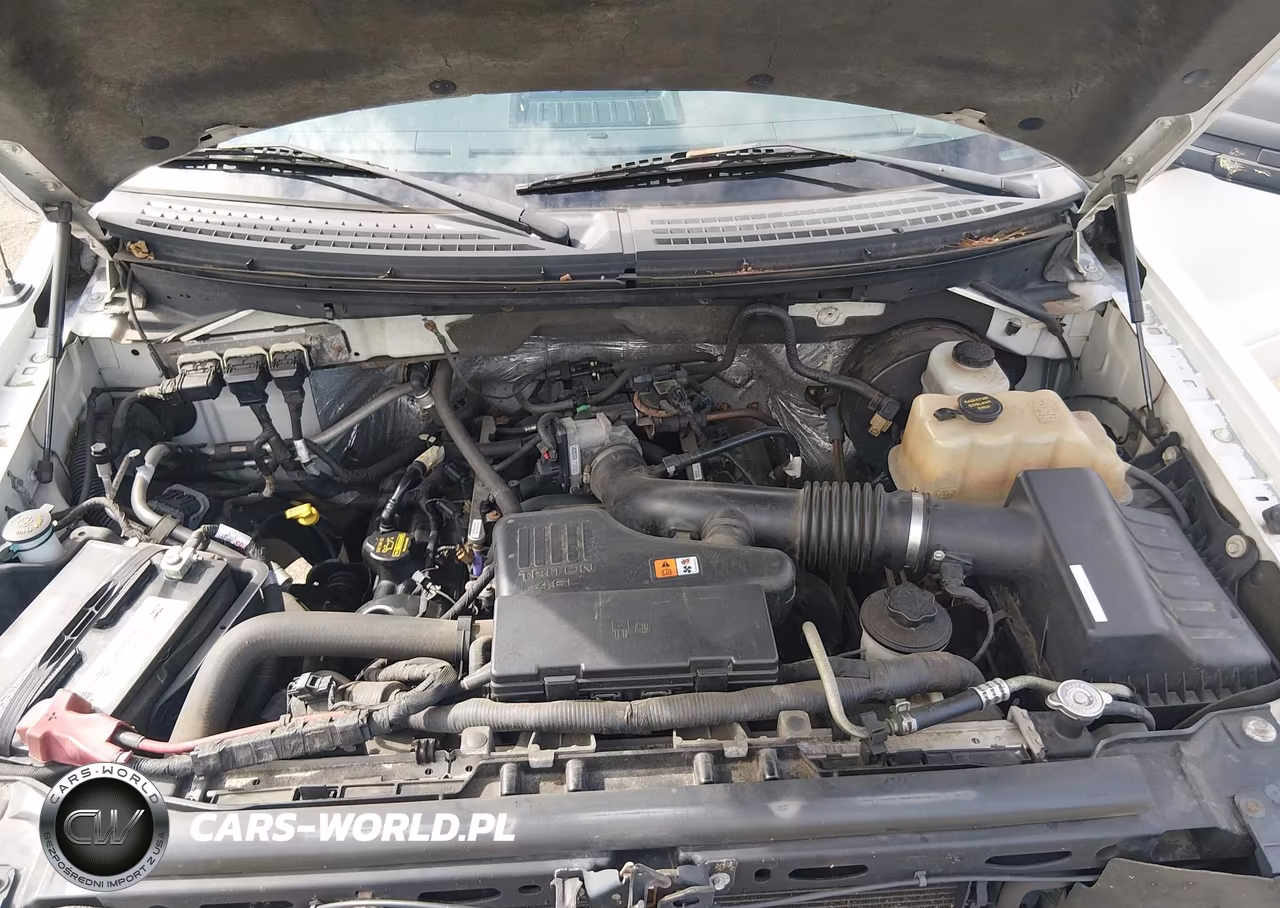 2010 Ford F-150 Stx-Xl-Xlt-Xlt W-Mid-Box Prep VIN:1FTMF1CW7AKE52457 - 10