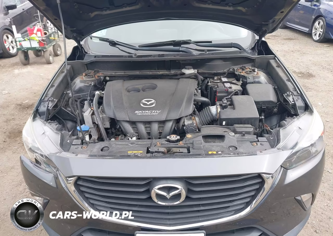2016 Mazda Cx-3 Touring VIN:JM1DKFC79G0139027 - 10