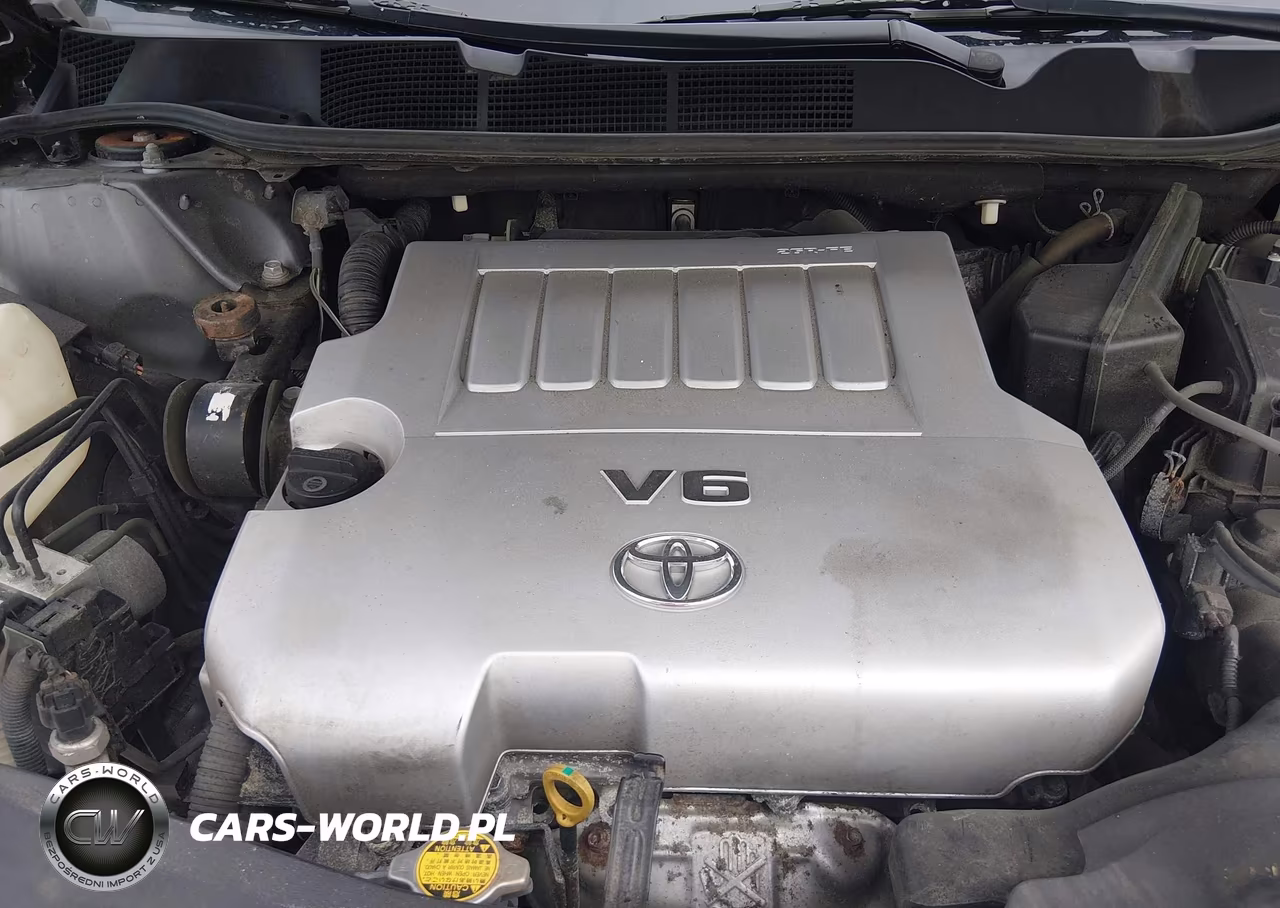 2010 Toyota Venza Base V6 VIN:4T3ZK3BB5AU025958 - 10