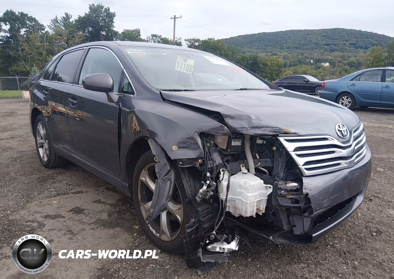 2010 Toyota Venza Base V6 VIN:4T3ZK3BB5AU025958 - 6