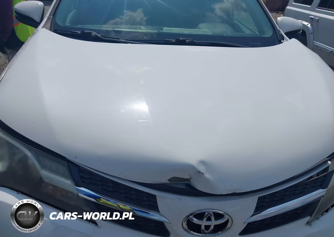 2014 Toyota Rav4 Xle VIN:2T3WFREV0EW084017 - 10