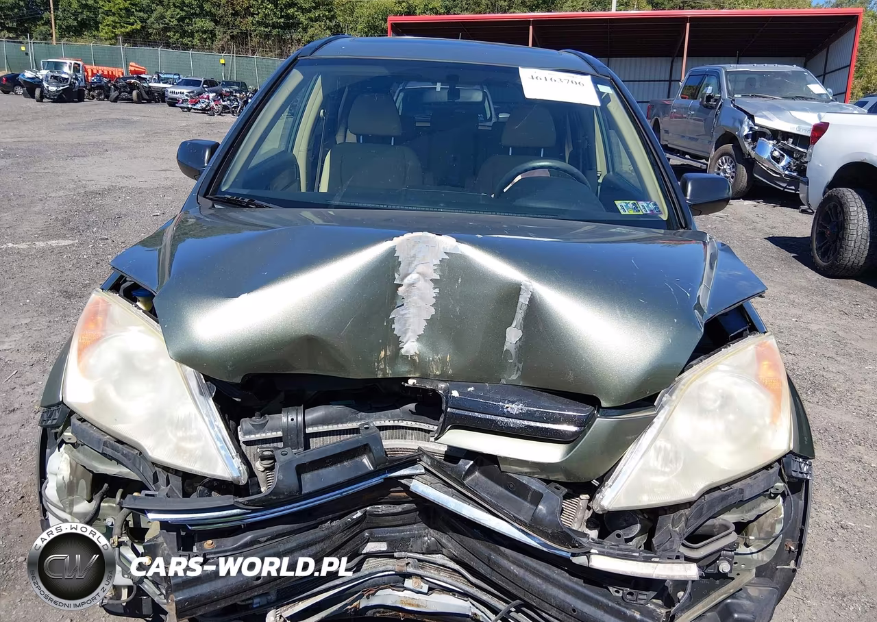 2007 Honda Cr-V Ex VIN:JHLRE48547C007061 - 12