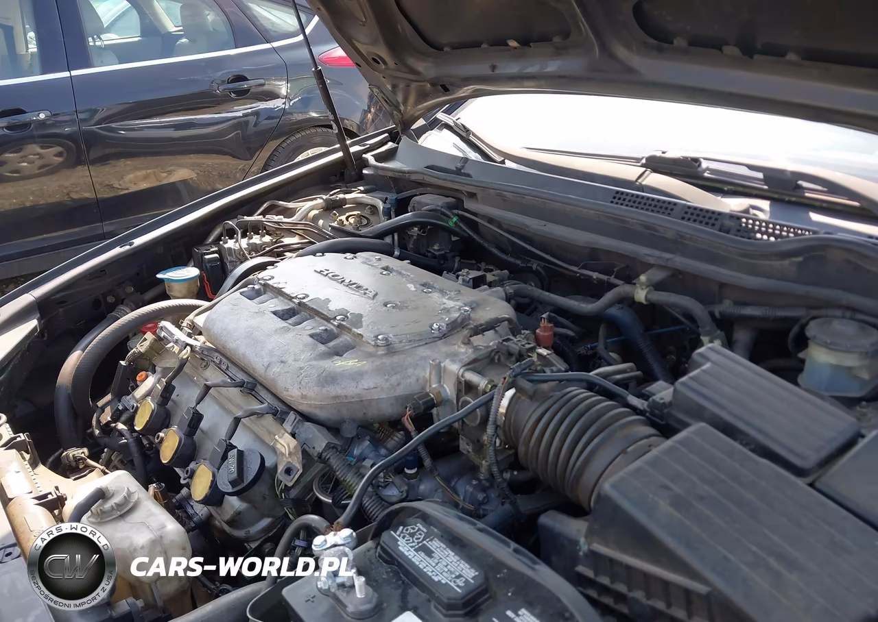 2005 Honda Accord 3.0 Lx VIN:1HGCM66315A013655 - 10