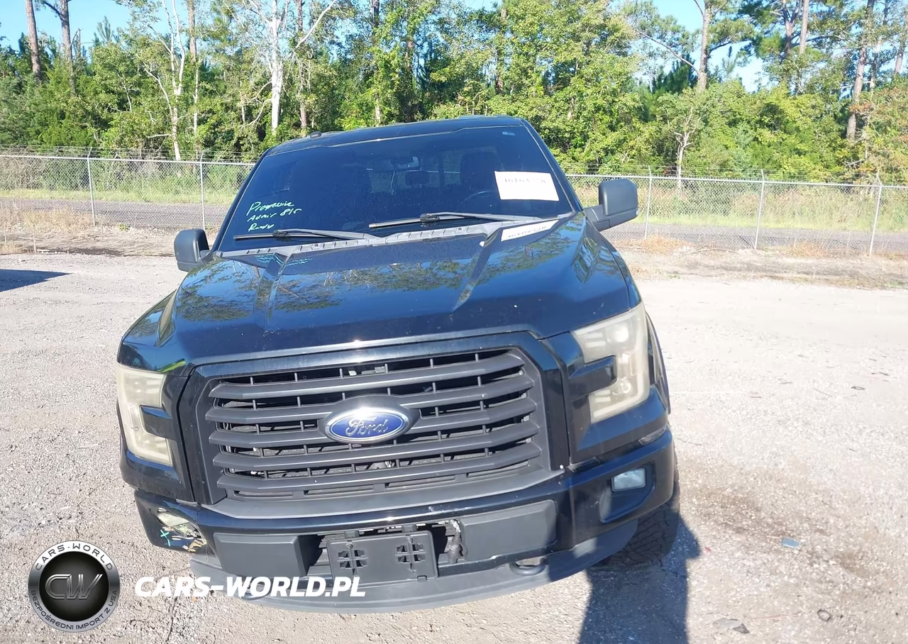 2016 Ford F-150 Xlt VIN:1FTFW1EG2GFB05800 - 12