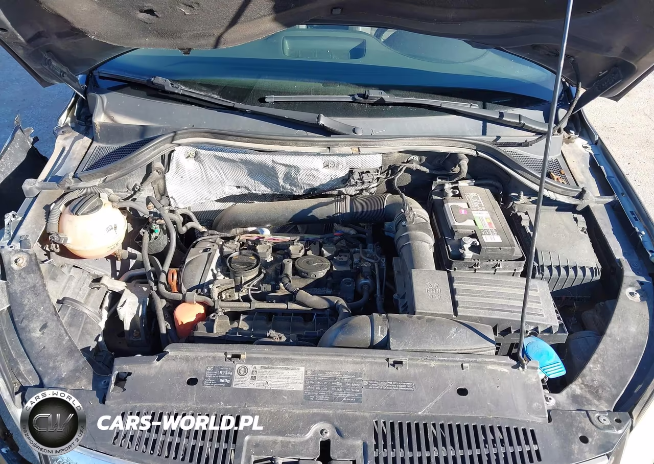 2010 Volkswagen Tiguan Wolfsburg VIN:WVGBV7AX4AW533364 - 10