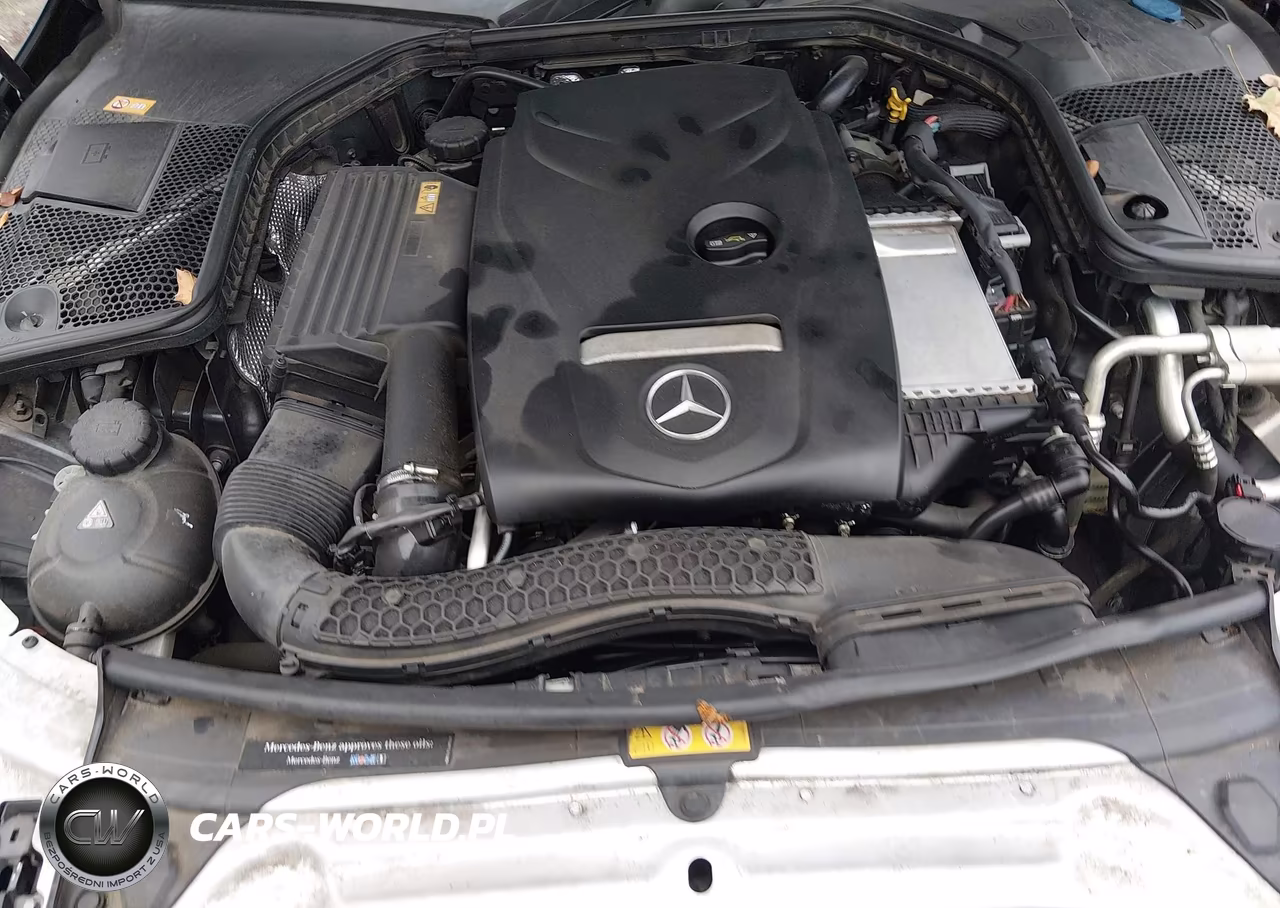 2016 Mercedes-Benz C 300 VIN:55SWF4JB4GU164507 - 10